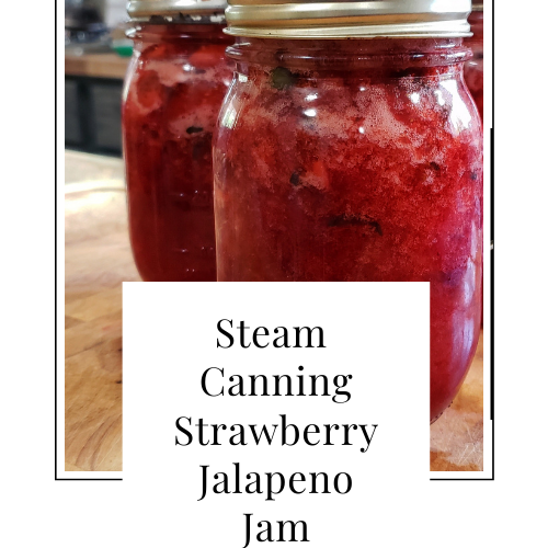 Steam Canning Strawberry Jalapeno Jam Suttons Daze